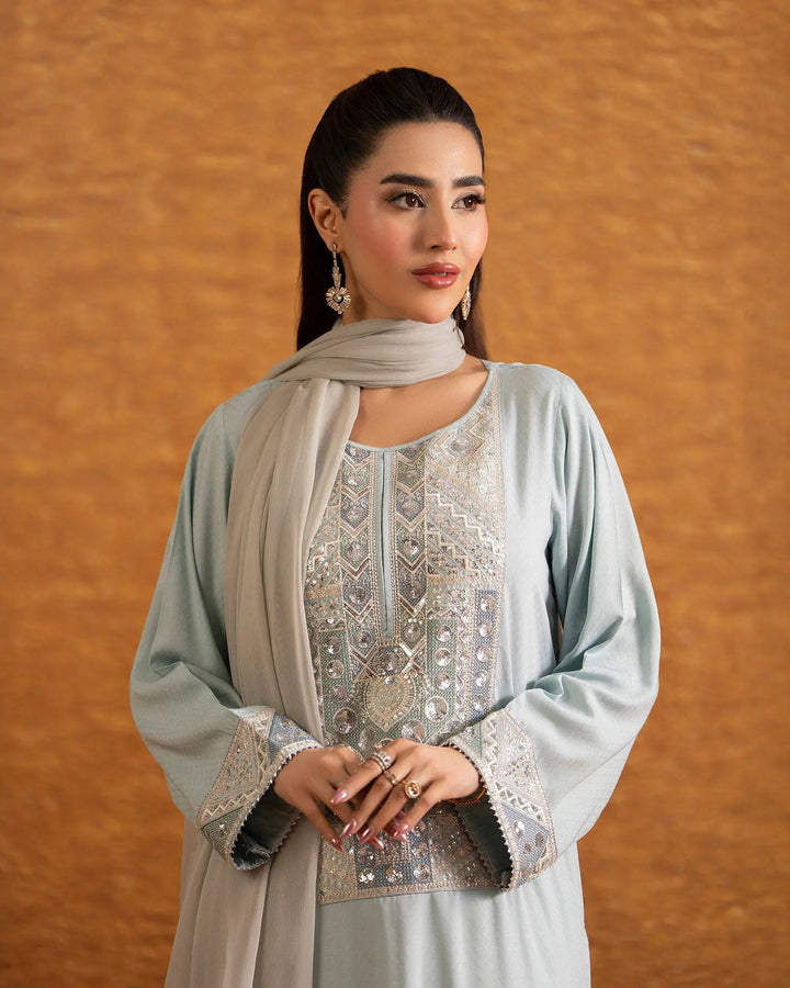 Imported Dabbi Silk 3PC | 1341 Sha Posh Textile