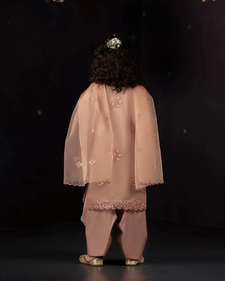 Kids Organza 3PC | 9794 Sha Posh Textile