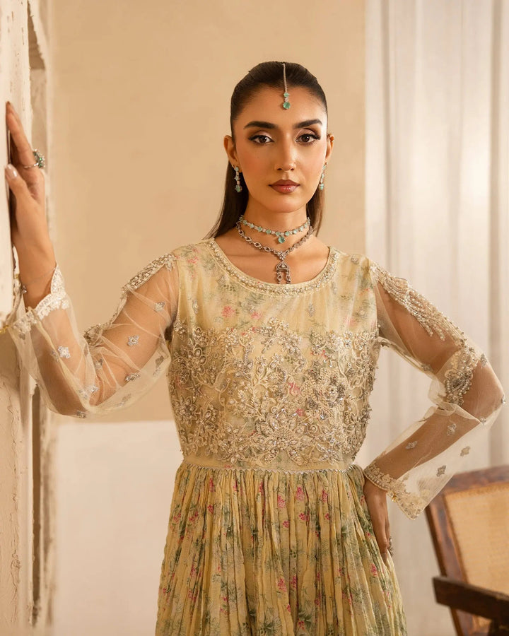 Net Frock | 1163 Sha Posh Textile