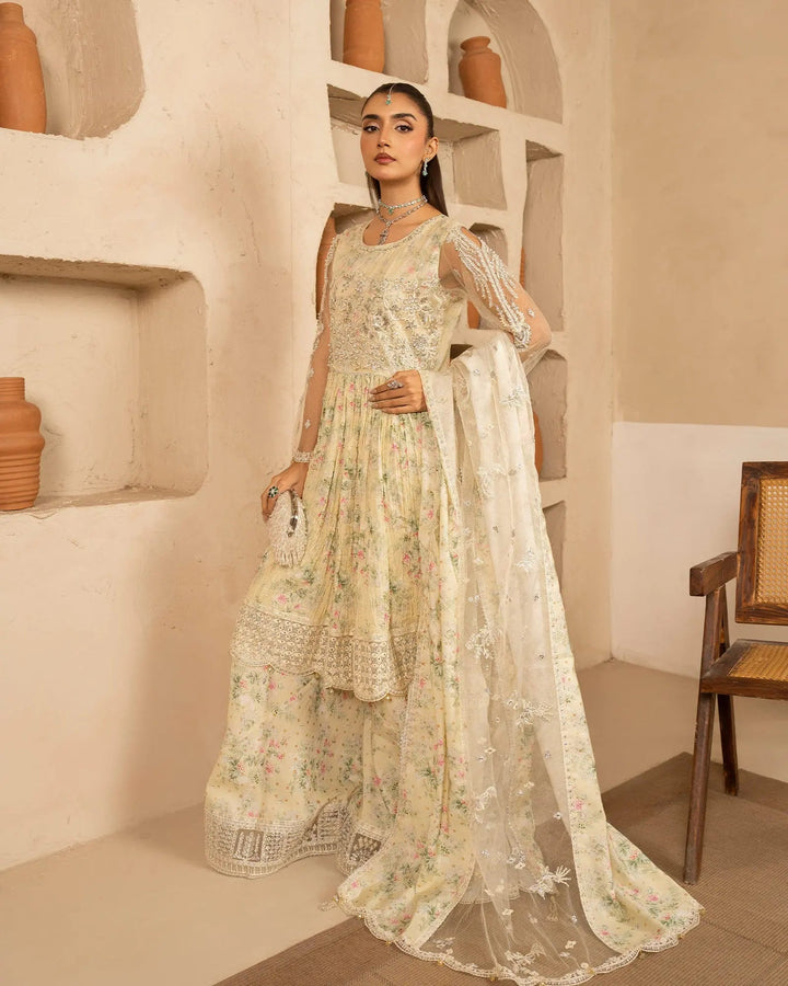 Net Frock | 1163 Sha Posh Textile