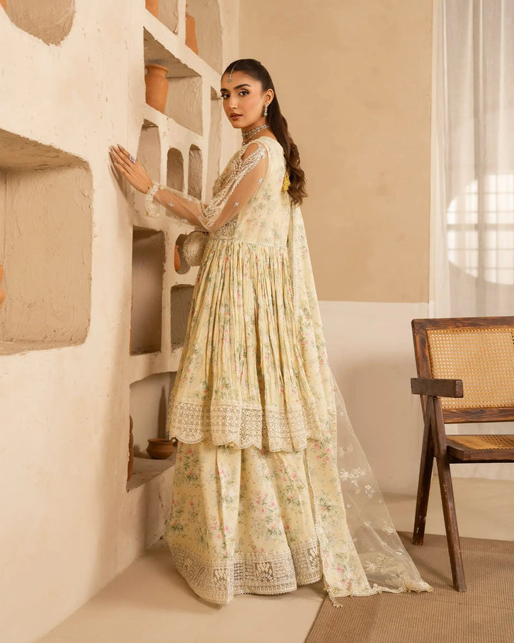 Net Frock | 1163 Sha Posh Textile